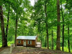 Eine kleine Holzhütte mit Metallbedachung, umgeben von hohen Bäumen in einem Wald.
