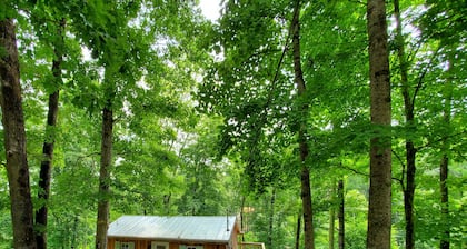 Retreat to Your Private Haven in the Trees