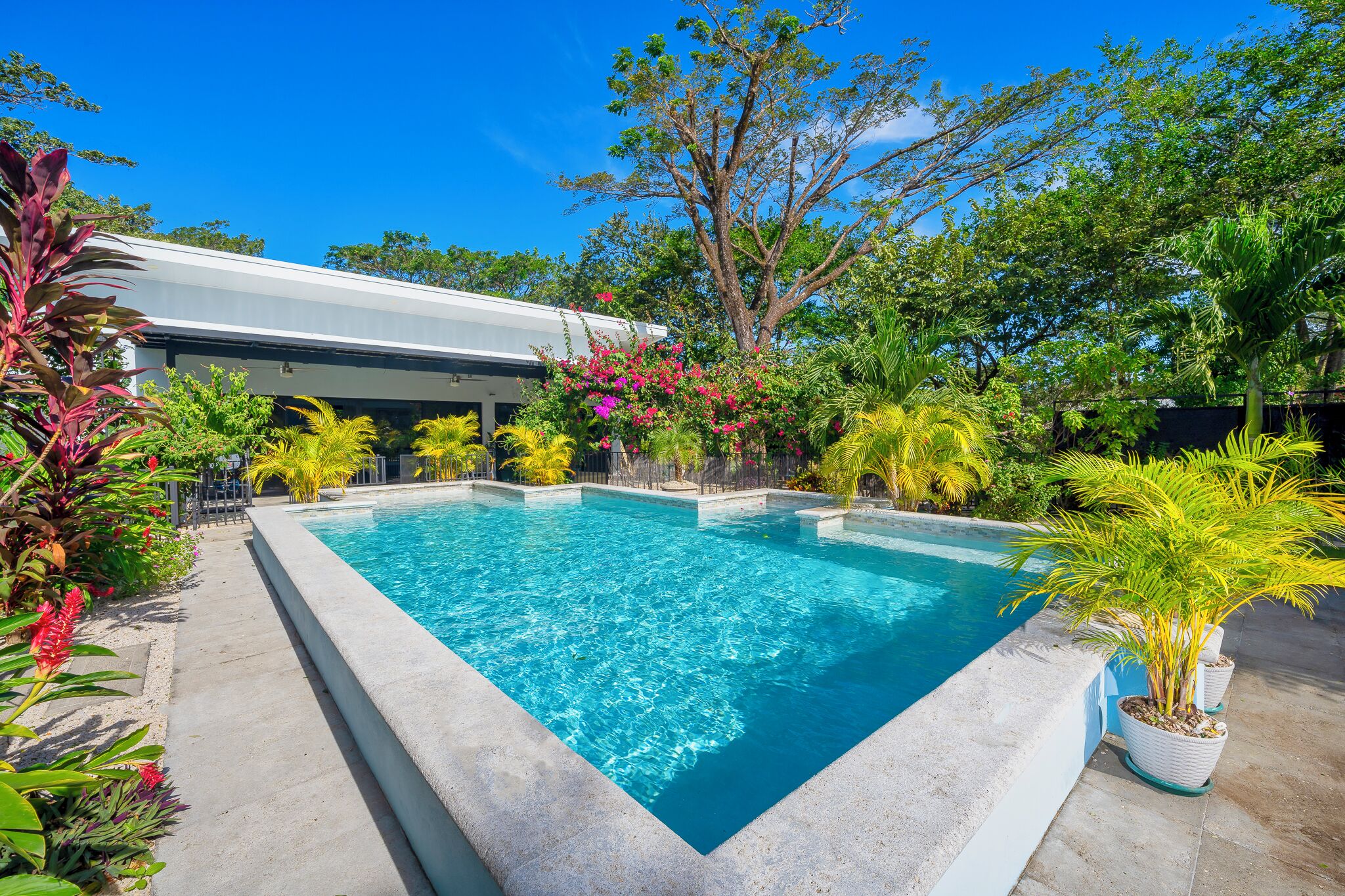 A rectangular swimming pool surrounded by lush greenery and a white building.