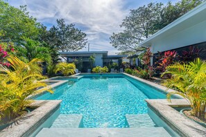 Una piscina rectangular envoltada de vegetació exuberant i arquitectura moderna.