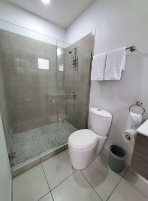 Shower, towels, toilet paper