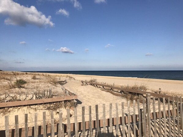 Playa en los alrededores y camastros