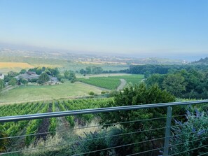 Property grounds - Villa au Cœur des Vignes (Chalonnes-sur-Loire)