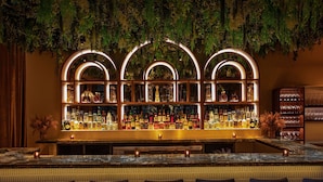 4 barer/lounger, takterrassebar og pianobar