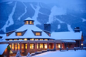 Experience the charm of this rustic lodge, featuring a distinctive tower and cozy interior.