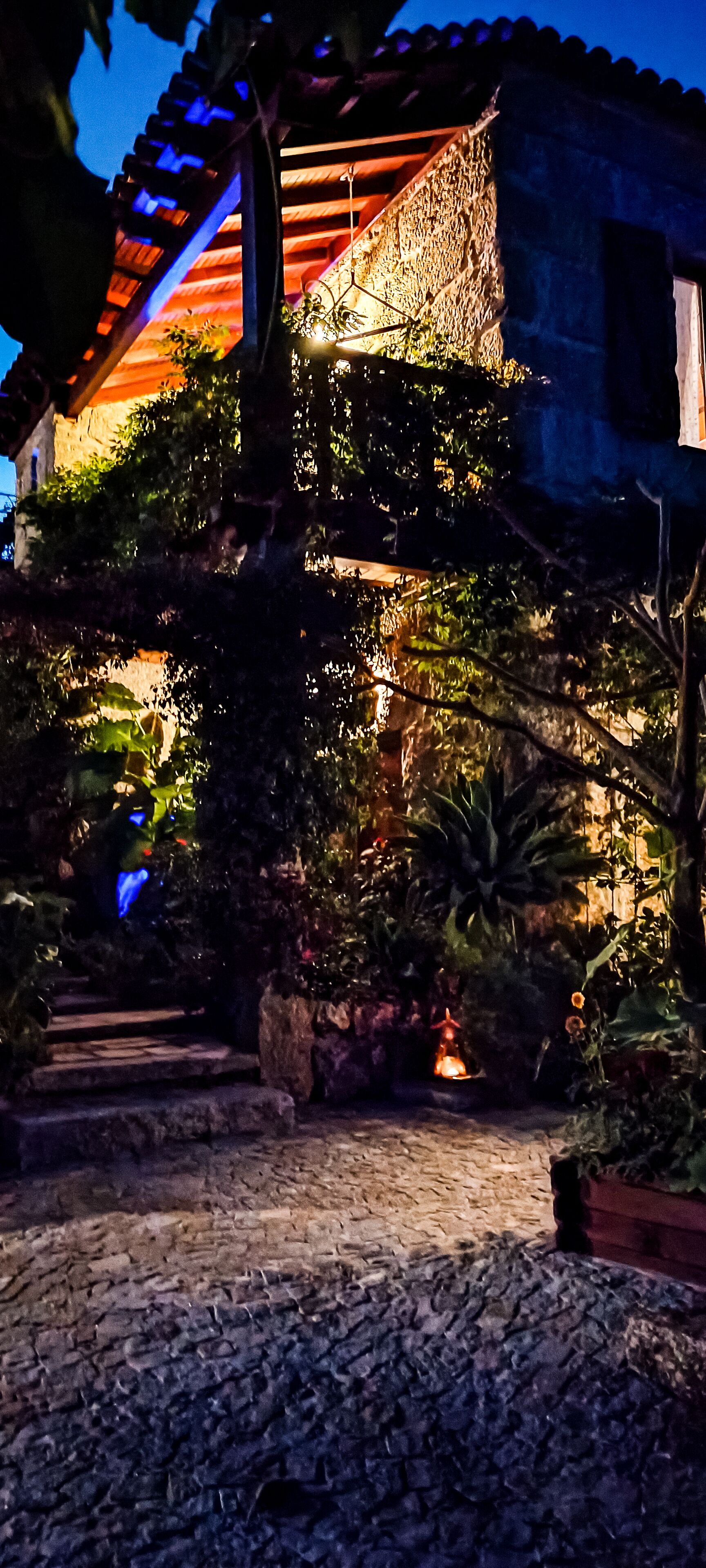 Traditional Studio | Terrace/patio