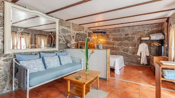 Grand Studio | Living area | 32-inch LED TV with digital channels, TV, fireplace