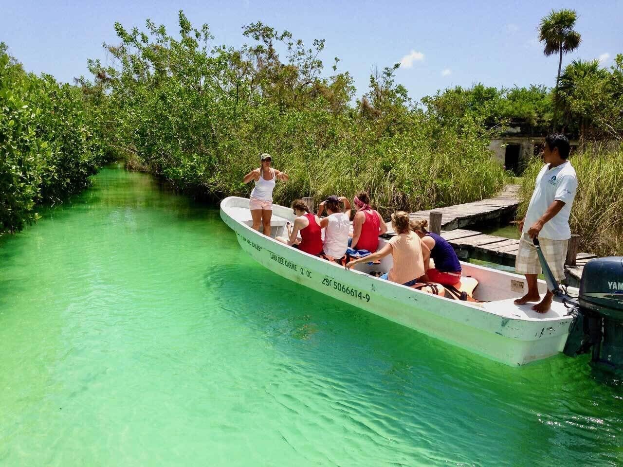 A boat tour with passengers and a guide on a narrow waterway surrounded by dense vegetation.