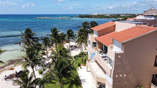 Un hôtel situé en bord de mer, doté d’une piscine, de palmiers et offrant une vue sur l’océan.