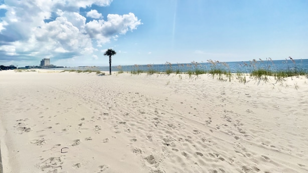 Ein Sandstrand mit Fußabdrücken, einer Palme und einem Gebäude in der Ferne.