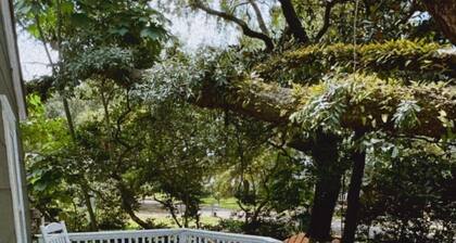 The Den w/ Pool Table & Outdoor Bar - 10 min walk to beach!