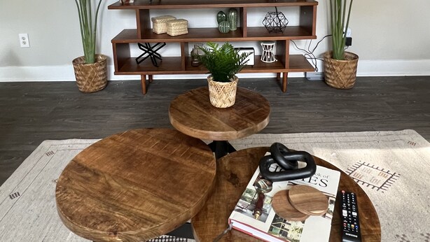 Una sala de estar con una televisión de pantalla plana, dos plantas grandes en macetas, una mesa de centro de madera y una estantería con adornos.