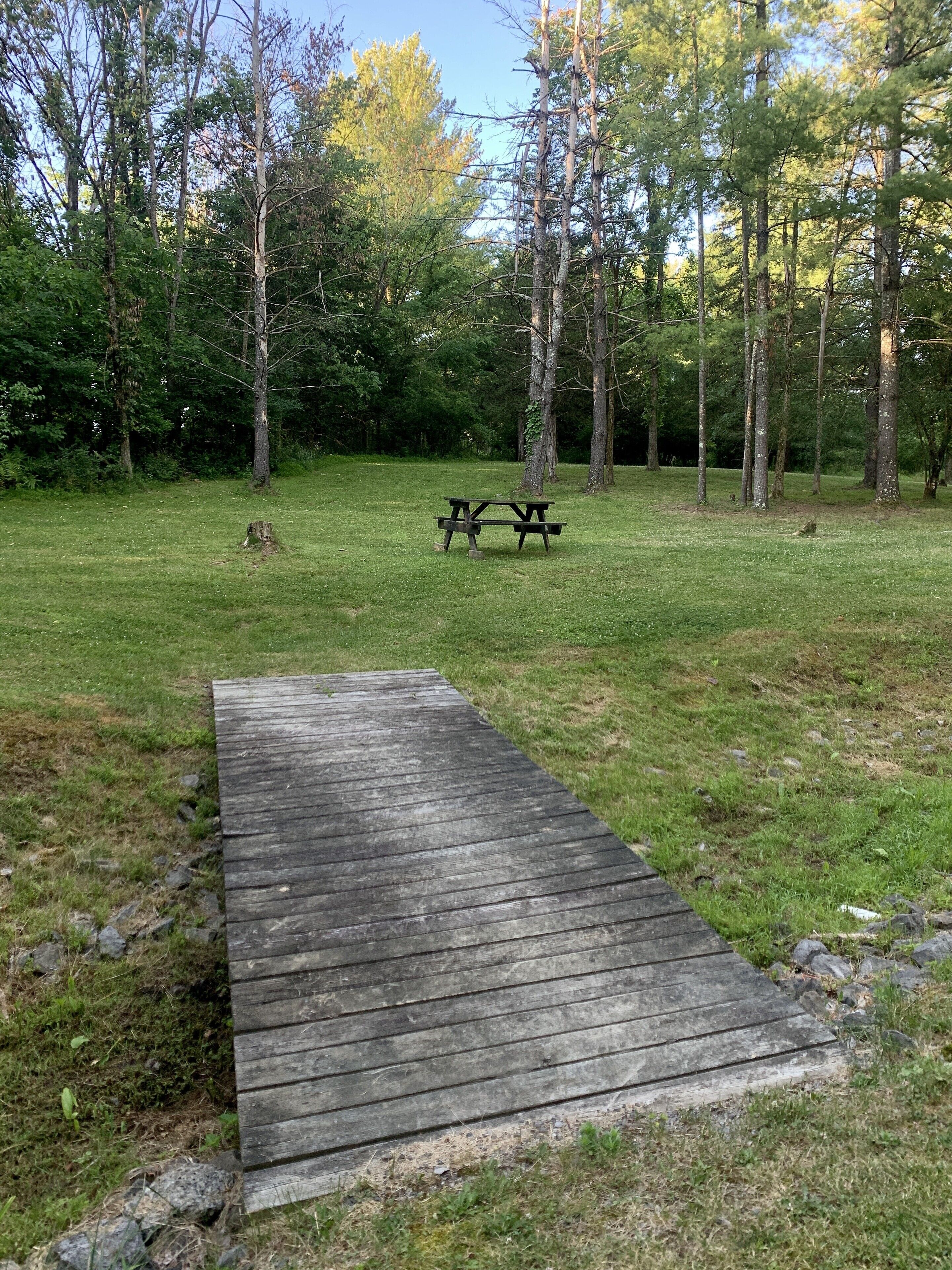 Eine Holzterrasse führt zu einem Picknicktisch inmitten einer grasbewachsenen Fläche, umgeben von Bäumen.