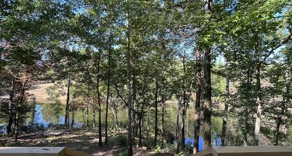 Tiny Cabin. Come here to unplug & relax on the pond.