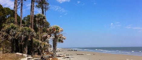 在海灘附近、躺椅、沙灘巾