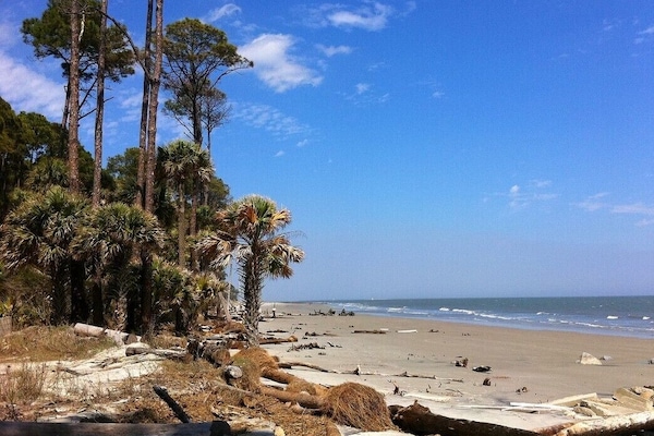 Playa en los alrededores, camastros y toallas de playa