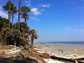 A beach with tall trees and a clear sky. - {NEW}5 mins to PI-Fire Pit-Beach Pass (Port Royal)