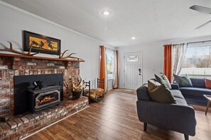 Smart TV, fireplace, books