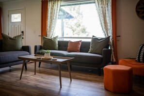 Smart TV, fireplace, books