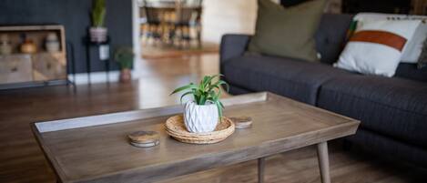 Smart TV, fireplace, books