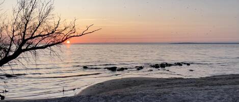 Tæt på stranden