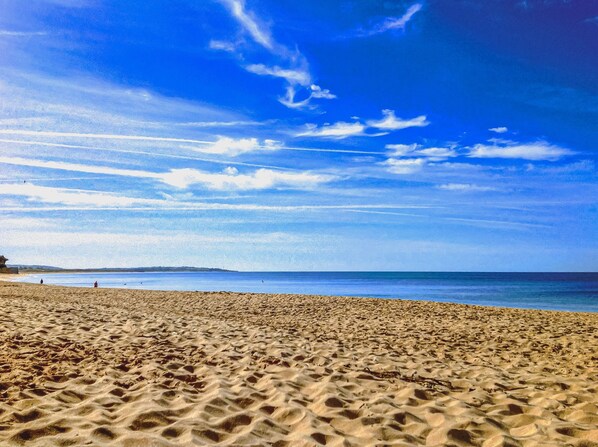 Playa en los alrededores 
