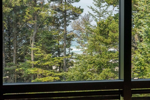 Vista a través de una ventana que muestra un área boscosa con una masa de agua al fondo.