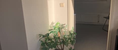 Innenbereich