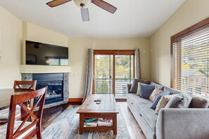 TV, fireplace, books