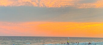 Dog-friendly condo in beachfront resort with pool, central AC & fast WiFi