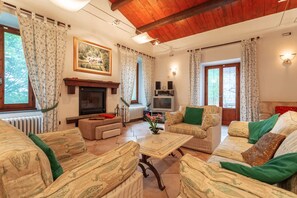 TV, fireplace, DVD player, books