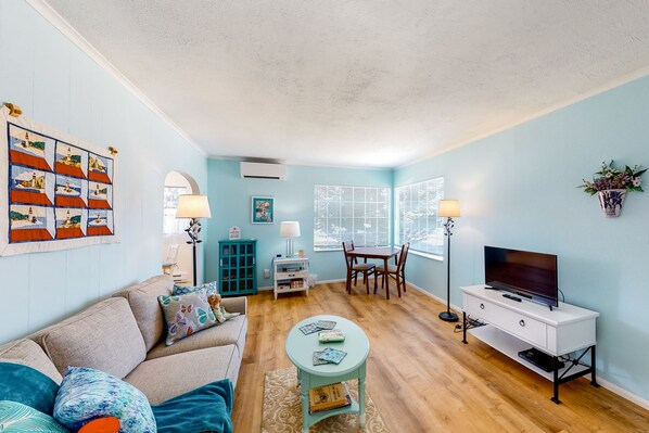 TV, DVD player, video library