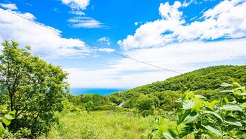 Rumah | Pemandangan pantai/laut