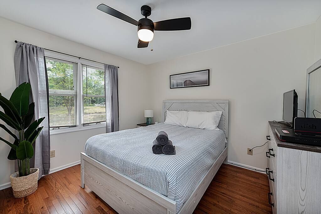 A bedroom with a bed, a ceiling fan, a nightstand, a lamp, a plant, and a window with curtains.