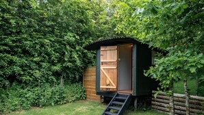 A small wooden shed with a sliding door, a ladder leading up to it, and surrounded by dense green foliage. - Red Deer Escape - Luxury Cottages (Minehead)