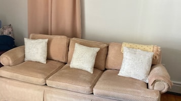 Smart TV, lareira, livros