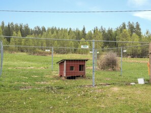 A fenced area with a small wooden structure, possibly a shed or storage, surrounded by a metal fence.