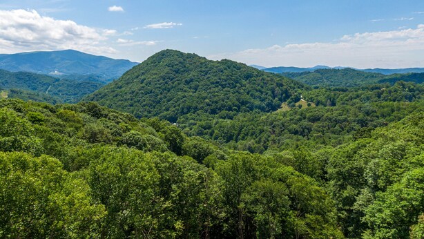Un paisaje montañoso con densa cubierta forestal.