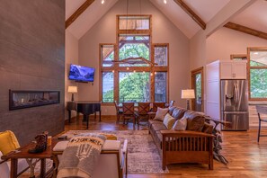 TV, fireplace, video games, DVD player