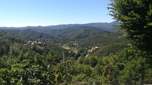 A panoramic view of a valley with dense forest and distant mountains. - Studio with breathtaking views, nearby hiking and swimming trails (Chirols)