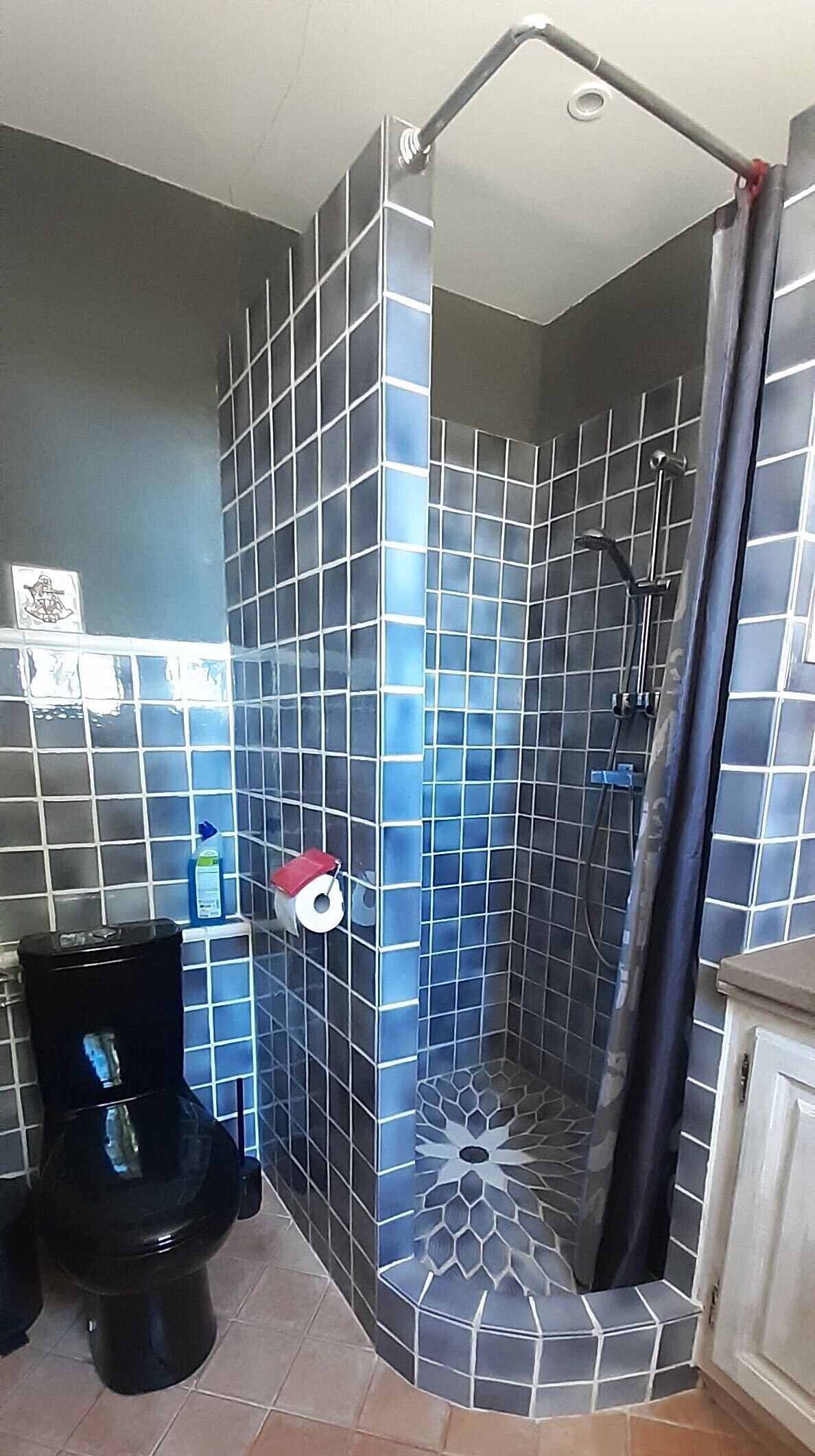 Ducha, secador de pelo, toallas, jabón