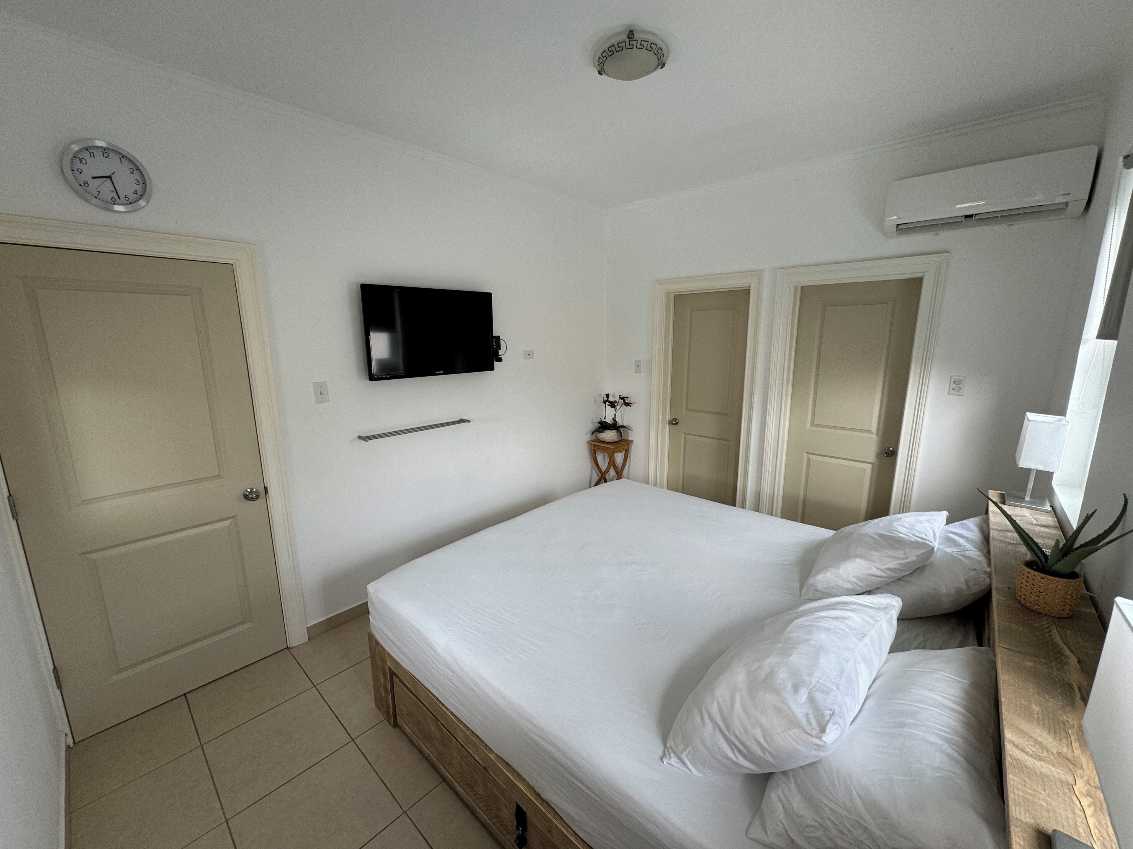 A bedroom with a bed, a TV mounted on the wall, a small table with a plant, and a door.
