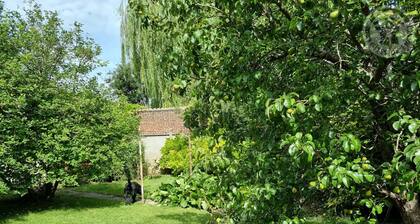 GĂźte de charme Ă Cambrai : 3 chambres, jardin, garage, proche centre et gare