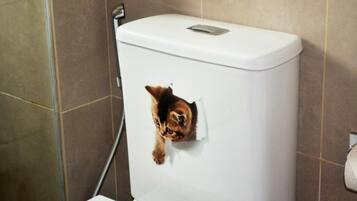 Triple Room, Private Bathroom | Bathroom | Shower, towels