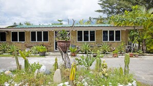 A building with a green roof and multiple windows, surrounded by various potted plants and cacti. - Capital O 90557 Dedsaan Beach Village (Kota Belud)