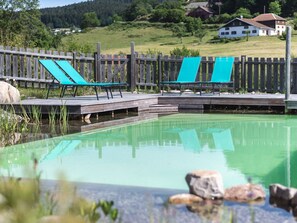 Pool - Cozy Retreat with Sauna, Netflix, and Organic Pool Near Gerardmer Lake (Gérardmer)