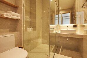 A modern bathroom with a glass-enclosed shower, a toilet, and a vanity with a sink and mirror.