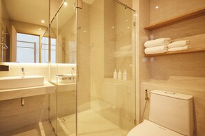 Shower, hair dryer, bidet, towels