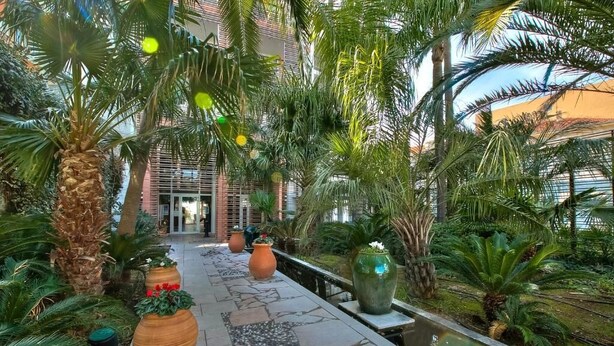 A pathway lined with palm trees and large planters, leading to a building entrance. - Apartment Port Prestige (Antibes)