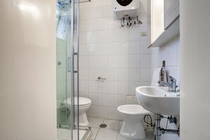 Shower, hair dryer, bidet, towels